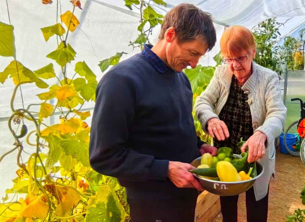 Время сбора урожая